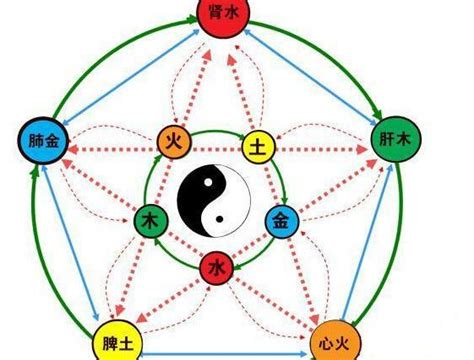 如何知道自己五行缺什麼|【自己五行缺什麼】五行缺什麼？教你一招妙計算出自己的五行缺。